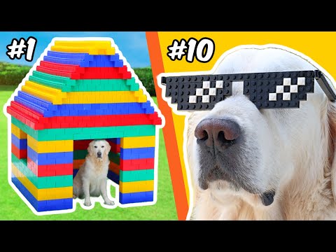 LEGO BUILDS for a DOG...封面