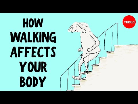 Do you really need to take 10,000 steps a day? - Shannon Odell封面