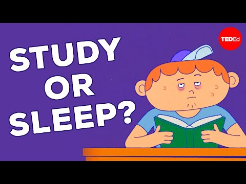 What staying up all night does to your brain - Anna Rothschild封面